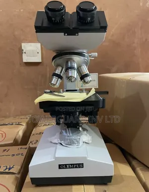 Olympus Microscope