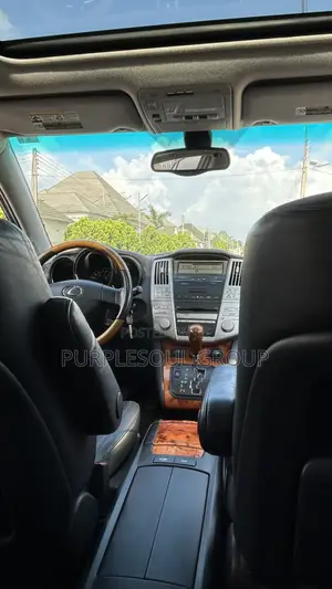 Lexus RX 350 2007 Silver