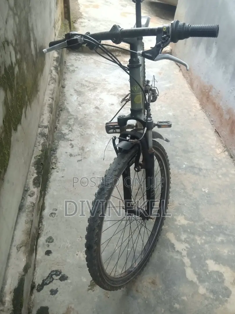 Bicycle in Good Shape (Used)