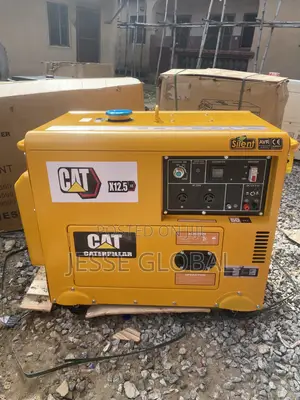 CAT 12KVA Copper Coil Generator