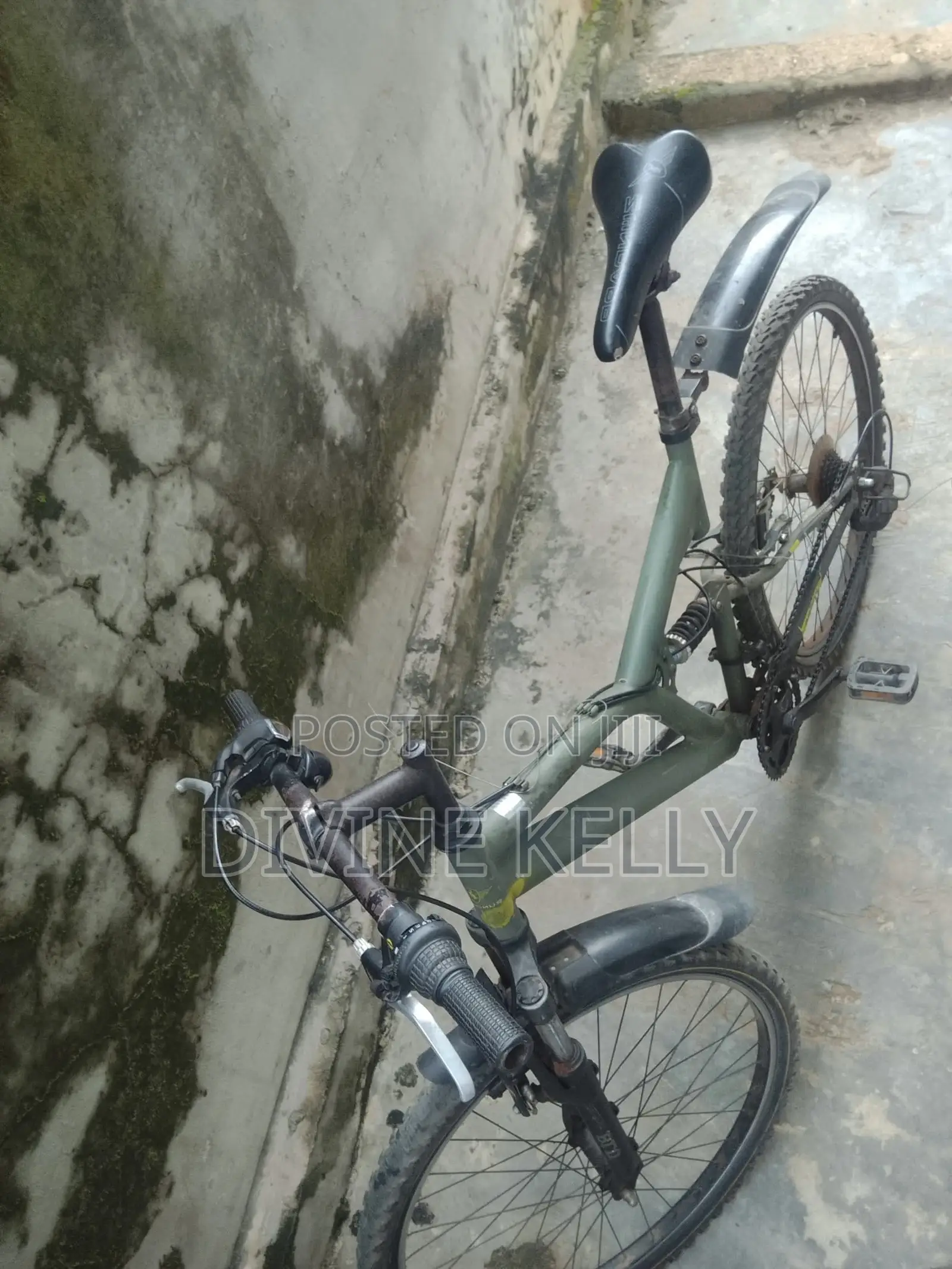 Bicycle Ride