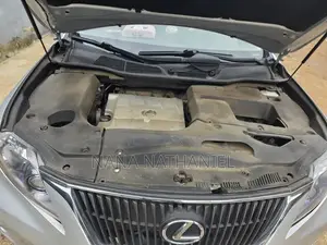 Lexus RX 2010 Gray