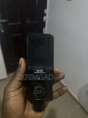 Takstar Condenser Microphone