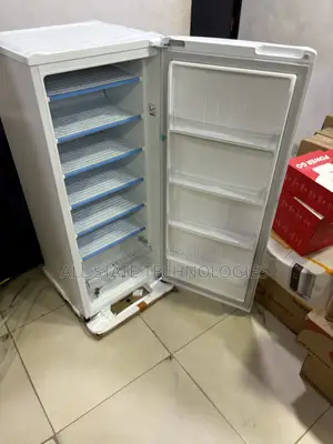 LG GN-304SQBR Household Freezer in Nigeria