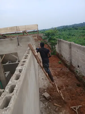 Professional Electrician