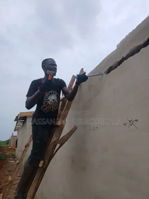 Professional Electrician