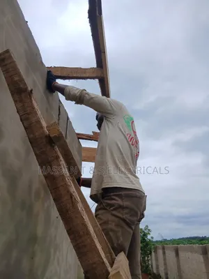 Professional Electrician