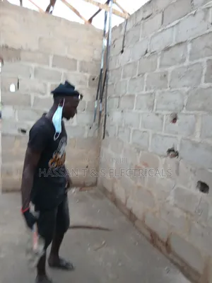 Professional Electrician
