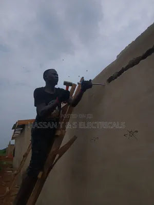 Professional Electrician