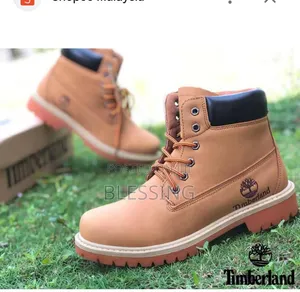 Beautiful Sneakers