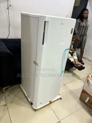 LG GN-304SQBR Freezer for Family Kitchens