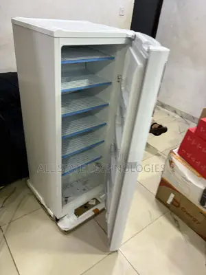 LG GN-304SQBR Freezer for Bulk Food Storage