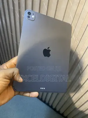 Apple iPad Pro 11 (2024) 256 GB Gray