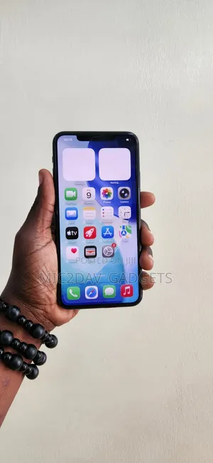 Apple iPhone 11 Pro Max 256 GB Gray