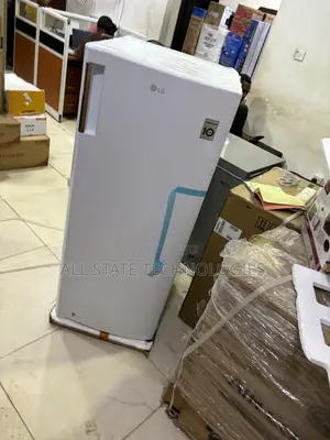 LG GN-304SQBR Freezer for Frozen Meat
