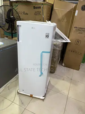 LG GN-304SQBR Freezer for Fish Storage