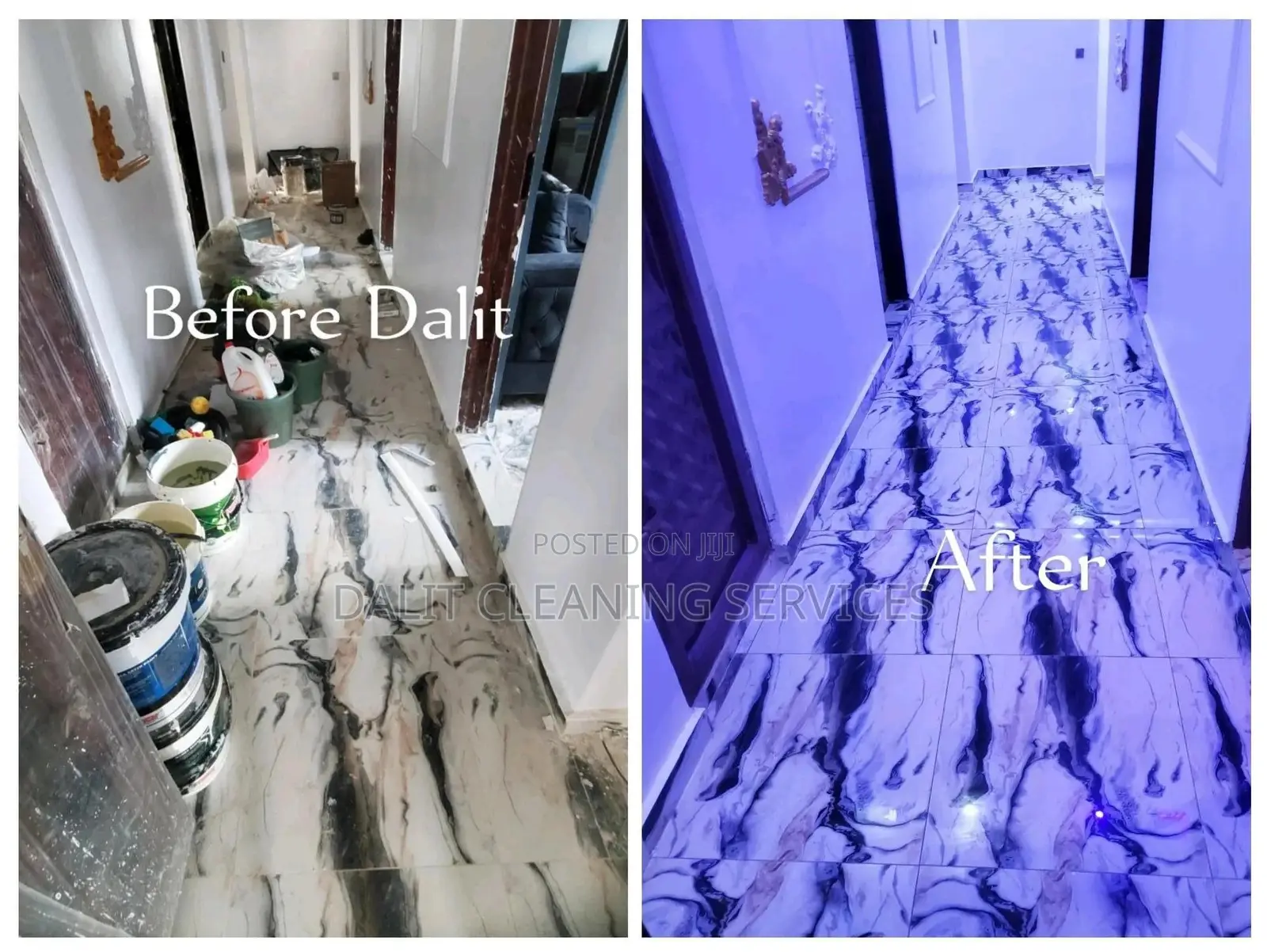Upholstery and House Cleaning Services