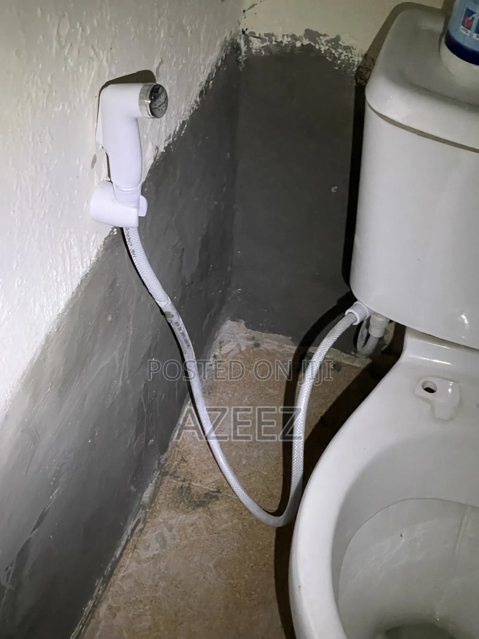 Dampness and Wall Treatment
