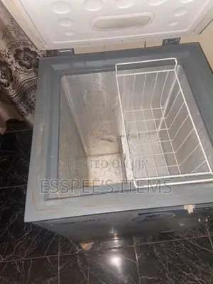 100L Skyrun Freezer