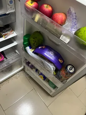LG Single-Door Compact Refrigerator With Extra Large Freezer