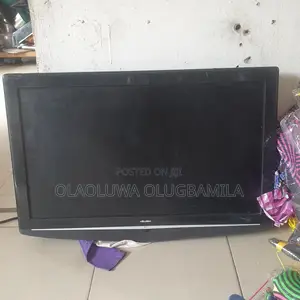 Bush Television
