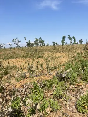 350SQM Est Land Ideal for 4 Bedroom Semi-Detached Penthouse With CofO