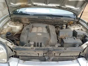 Hyundai Santa Fe 2005 Silver