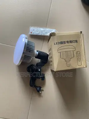Mushroom Light