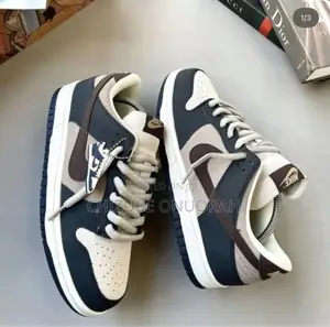 Nike SB Dunk Sneakers