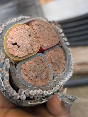 Armored Cable Niger Chin