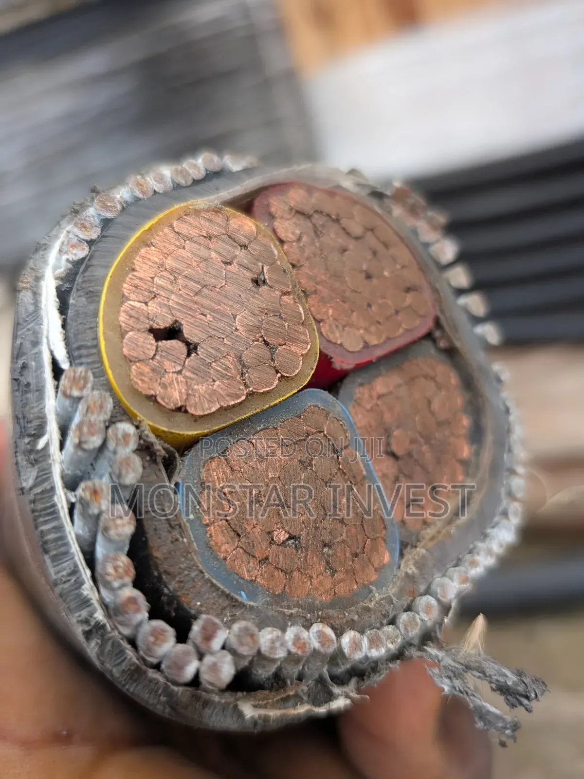 Armored Cable Niger Chin