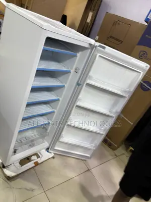 LG GN-304SQBR Freezer for Frozen Chicken