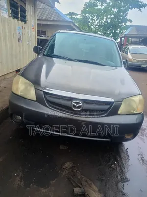 Mazda Tribute 2004 Gray