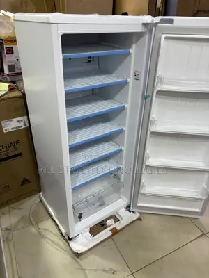 LG GN-304SQBR Freezer for Convenient Storage