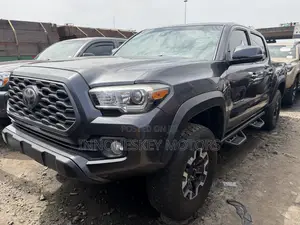 Toyota Tacoma Limited V6 4x4 Double Cab 127.4 in. WB 2020 Gray