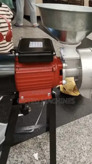 Electric Dry and Wet Grinder