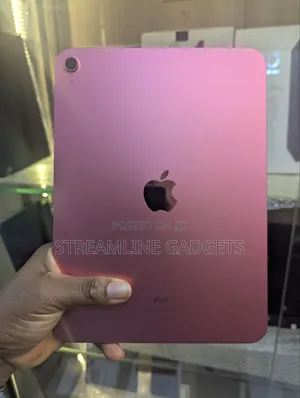 Apple iPad (2022) 256 GB Pink
