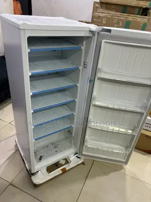 LG GN-304SQBR Freezer for Fish and Chicken