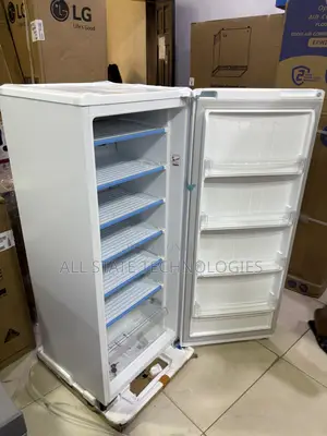 LG GN-304SQBR Freezer for Frozen Ingredients