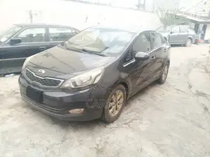 Kia Rio 2013 Gray