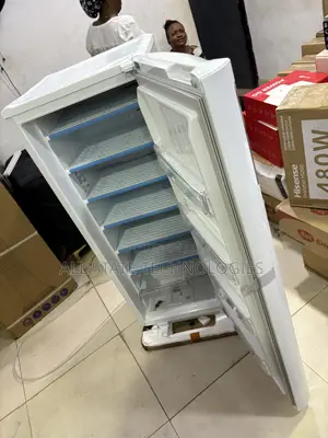 LG GN-304SQBR Freezer for Restaurant Ingredients