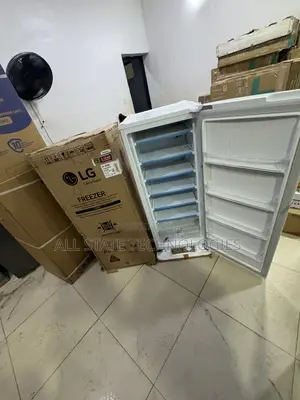 LG GN-304SQBR Freezer for Catering Supplies
