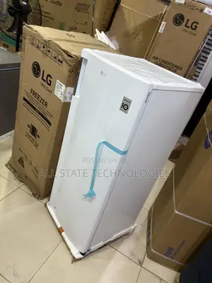 LG GN-304SQBR Freezer for Home Food Management