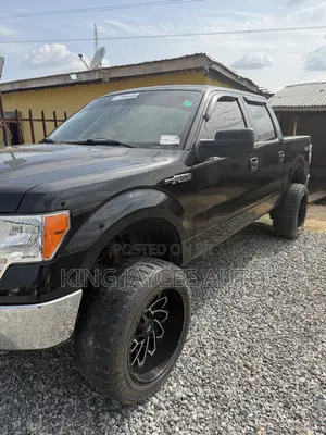 Ford F-150 2015 Brown