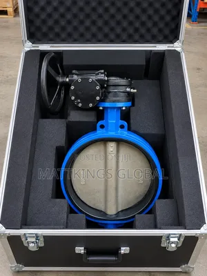 Butterfly Valve 16" and 24"