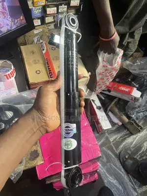 Rear Shock Absorber Hyundai Santa Fe 2015