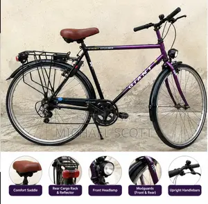 GIANT Cityliner Bicycle