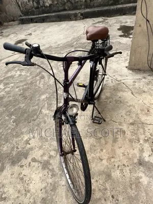 GIANT Cityliner Bicycle
