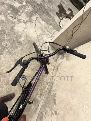 GIANT Cityliner Bicycle