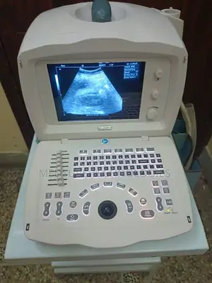 Mindray DP-2200 Ultrasound Machine With Convex Probe.